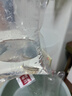 樂(lè )淘逸寵三湖慈鯛活體馬鯛魚(yú)中小型熱帶觀(guān)賞魚(yú)淡水巖棲鯛魚(yú) 4-5cm鯛魚(yú)混搭10條（5個(gè)品種） 曬單實(shí)拍圖
