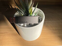 聯(lián)想（lenovo）雙接口U盤(pán)Type-C 電腦手機兩用優(yōu)盤(pán)大容量 高速u(mài)盤(pán)商務(wù)辦公學(xué)生臺式筆記本電腦專(zhuān)用 3.2高速Typec兩用U盤(pán)【贈U盤(pán)皮套】 128GB 曬單實(shí)拍圖