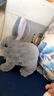 拉迪圖兒童玩具電動(dòng)兔子會(huì )動(dòng)會(huì )叫搖耳朵毛絨玩具仿真小兔子寵物玩具禮物 長(cháng)毛兔（粉） 普通電池+螺絲刀【百分之25%人選擇】 曬單實(shí)拍圖