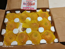 京鮮生山東煙臺紅富士 蘋果 凈重5斤單果200g+ 新鮮水果 源頭直發(fā) 曬單實拍圖