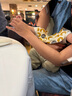 巴拉巴拉褲子嬰兒夏季薄款長(cháng)褲男女童運動(dòng)褲2025簡(jiǎn)約可愛(ài)時(shí)髦209225108201 曬單實(shí)拍圖