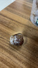 豪雄無(wú)核蜜棗600g 蜜棗包粽子 大棗金絲蜜棗去核煮粥煲湯八寶飯零食 曬單實(shí)拍圖