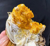 【活蟹】陽(yáng)澄沁沁大閘蟹 鮮活大湖螃蟹全母蟹 海鮮水產(chǎn)生鮮禮盒裝 【八只裝】全母蟹2.8-3.1兩 曬單實(shí)拍圖