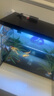 小米米家智能魚(yú)缸客廳小型造景生態(tài)家用背景超白玻璃桌面循環(huán)自動(dòng)喂食 小米智能魚(yú)缸（已接入米家APP） 曬單實(shí)拍圖