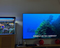 Vidda發(fā)現(xiàn)X 2026款 85英寸 300Hz超高刷 墨晶屏 QD-Mini LED 智能液晶電視 家電國(guó)家補(bǔ)貼 85VX5Q 85英寸 曬單實(shí)拍圖
