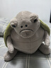 Jellycat亞萊克西鱷魚(yú)動(dòng)物毛絨玩偶公仔娃娃動(dòng)物玩具2025秋冬新品 綠色 One Size 曬單實(shí)拍圖