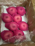 京鮮生 煙臺紅富士蘋(píng)果 凈重8斤  單果230g起 水果禮盒 曬單實(shí)拍圖