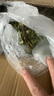 咪貝萌蒲公英草干草葉子整箱500g寵物兔子草糧飼料龍貓荷蘭豬豚鼠牧草 烘干蒲公英草 凈重500克 曬單實拍圖