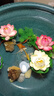 中國紅冷水淡水觀賞魚錦鯉魚活魚金魚小型好養(yǎng)紅鯉魚純種小錦鯉 6-8cm長黑白黃紅各一條 曬單實(shí)拍圖