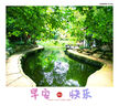 卡雷姆德國車(chē)載u盤(pán)無(wú)損音樂(lè )2025正版原唱視頻帶歌詞經(jīng)典老歌柏林之聲U盤(pán) 【1100首歌】德國無(wú)損黑膠芯片 配送C口轉換頭 曬單實(shí)拍圖