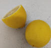 新鮮黃檸檬四川安岳水果商用皮薄多汁咸包裝香水小金桔青綠無(wú)籽 1斤小果【嘗鮮試吃裝】 正宗 曬單實(shí)拍圖
