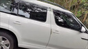 車仆金棕櫚去污護(hù)理蠟汽車車身漆面清洗液蠟上光養(yǎng)護(hù)蠟顏色通用 金棕櫚去污護(hù)理蠟2瓶 曬單實(shí)拍圖