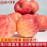 洛川蘋果陜西延安特產(chǎn)紅富士時令蘋果水果禮盒送蘋果生鮮新鮮脆甜整箱批發(fā) 凈重8.5斤80-85mm 鉑金大果脆甜 曬單實拍圖