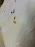 蕉下（beneunder）防紫外線遮陽傘五折口袋黑膠晴雨傘防曬傘BM665葉舞 曬單實拍圖