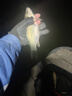 虎魁短子線雙鉤17cm子線成品金袖有刺金袖無(wú)刺溪流野釣雙鉤鯽魚(yú) 17cm金袖有刺1板10付 4#號(hào)鉤 曬單實(shí)拍圖