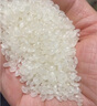 邦克仕（Benks）【自帶拍照按鍵】適用蘋(píng)果16 Promax手機(jī)保護(hù)殼 iPhone16promax防摔磁吸殼輕砂全包保護(hù)套 白色 曬單實(shí)拍圖