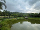 曼牌（MANNFILTER）空氣濾清器空氣濾芯空濾C25082領(lǐng)克01/02/03/星越 1.5T2.0T汽油版 曬單實拍圖