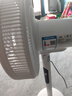 新飛電風扇落地扇立式家用宿舍客廳臥室大風量搖頭定時輕音風扇 12英寸八葉遙控款 曬單實拍圖