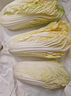 【超市品質】新鮮精品娃娃菜現(xiàn)砍現(xiàn)發(fā)小包裝新鮮蔬菜生鮮產地直發(fā) 新鮮娃娃菜1*(3棵)*1包 曬單實拍圖
