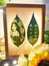 樹葉照片雕刻機(jī)擺攤激光設(shè)備小型全自動(dòng)打印葉子玻璃機(jī)器葉雕機(jī) ZKmini-5W 光功率 葉雕/精細(xì)雕刻 電腦單控 曬單實(shí)拍圖