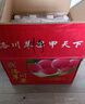涵果 陜西新鮮蘋(píng)果水果10斤當季整箱洛川現摘冰糖心紅富一級禮盒脆甜 凈果9斤鉆石果90-95mm巨無(wú)霸 曬單實(shí)拍圖