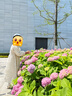 圖圖小象女童連衣裙2025春秋裝泡泡袖洋氣公主裙甜美蕾絲提花兒童裙子長(zhǎng)袖 杏色 130 曬單實(shí)拍圖