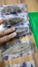 繽鮮 即食海參 大連海參深海鮮活遼刺參新鮮開袋即食7年海參干貨禮盒 大連即食海參【4-9只/斤】 2斤裝 曬單實(shí)拍圖