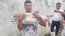 日本進口粉色碳素線50米路亞前導線羅非子線軟碳素線碳纖維魚線 粉色碳素線50米 6.0號 曬單實拍圖