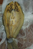 農味贊湖北特產(chǎn)整條青魚(yú) 草魚(yú)臘魚(yú)風(fēng)干魚(yú)農家陽(yáng)干咸魚(yú)腌魚(yú)臘貨年貨送禮 整條草魚(yú)--風(fēng)干后2斤 曬單實(shí)拍圖