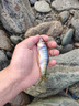 威拓森可折疊打水桶釣魚(yú)裝魚(yú)小水桶手提桶 8L【20*20灰】 送5M繩 曬單實(shí)拍圖