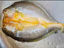 鮮京采寧德黃魚(yú)鲞4條/2斤(單條235-255g)三去處理魚(yú)類(lèi) 地標 源頭直發(fā) 曬單實(shí)拍圖