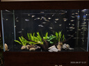 Saongwon 韓國進口 韓式海鮮蔬菜餅 1.04kg(8個) 海鮮蔬菜餅 1.04kg 曬單實拍圖