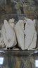 WEYES凍干雞小胸500g桶裝寵物貓狗零食肉干營養(yǎng)發(fā)腮高蛋白 曬單實拍圖