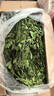 苜蓿草幼兔干草兔子糧食紫花豚鼠食飼料專用龍貓吃的兔糧提摩西草 紫花苜蓿草1KG箱裝(毛重) 曬單實(shí)拍圖