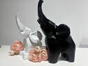 笨鳥(niǎo)創(chuàng  )意創(chuàng  )意大象擺件客廳電視柜酒柜裝飾品北歐現代高檔輕奢喬遷新居禮品 大象擺件黑白套裝(B) 曬單實(shí)拍圖