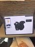 HUAWEI MatePad Pro 12.2英寸 2025 柔光版 國(guó)家補(bǔ)貼 華為平板電腦雙層OLED柔光屏 WIFI 12GB+256GB 宣白 曬單實(shí)拍圖