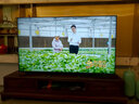索尼（SONY）K-75XR50 X90L升級款 75英寸 索尼電視5系 2025新品 MiniLED XR芯片 一級能效 國家補貼 曬單實(shí)拍圖