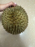 京鮮生 進口金枕頭榴蓮 凈重3-4斤 1個裝  鮮果 生鮮 新鮮水果 曬單實拍圖