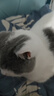 容聲（RONGSHENG）電風(fēng)扇家用落地扇交流定頻電風(fēng)扇輕音風(fēng)扇立式臺地兩用大風(fēng)量節(jié)能搖頭風(fēng)扇低噪風(fēng)扇RS-FX2401AH 曬單實拍圖