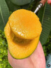 四川攀枝花凱特大芒果新鮮水果特大甜心大芒果9斤當(dāng)季青皮芒整箱 整箱5斤裝 推薦大果【400g起】 曬單實(shí)拍圖