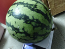 正宗黑籽麒麟西瓜應(yīng)季新鮮水果新鮮現(xiàn)摘沙瓤薄皮麒麟瓜 麒麟西瓜 6-7斤 1枚裝 曬單實(shí)拍圖
