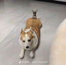 麥富迪狗糧 藻趣兒狗糧幼犬糧牛肉螺旋藻 呵護腸胃7.5kg/15斤 曬單實拍圖
