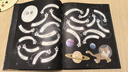 貓咪帶你去觀星（入圍英國(guó)學(xué)校圖書館協(xié)會(huì)科普?qǐng)D書獎(jiǎng)，觀星指南與天文知識(shí)入門書）浪花朵朵 曬單實(shí)拍圖