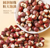 半山農(nóng) 芡實(shí) 500克 廣東肇慶芡實(shí)米煲湯材料 紅皮雞頭米 五谷雜糧煮粥 曬單實(shí)拍圖