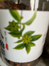 川珍八角90g罐裝 無(wú)硫熏 廣西大紅大料茴香 香辛料 燒燉鹵肉調(diào)味佐料 曬單實(shí)拍圖