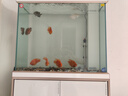 森森（SUNSUN）大型魚(yú)缸底過(guò)濾水族箱客廳家用落地玻璃生態(tài)金魚(yú)缸 【實(shí)時(shí)溫顯+燈控】珍珠白 0.8米長(zhǎng)35cm寬 曬單實(shí)拍圖