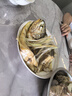 GUO LIAN國聯(lián) 三去黃花魚2條 共凈重2斤國產(chǎn)寧德東海大黃魚 海鮮水產(chǎn)生鮮 曬單實拍圖