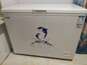 澳柯瑪（AUCMA）323升家用商用臥式阻霜大冷柜 合金內(nèi)膽一級能效冷藏冷凍轉(zhuǎn)換 低噪節(jié)能省電頂開門冰柜 以舊換新 BC/BD-323NE. 323L 曬單實(shí)拍圖