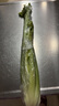 【順豐】有機水果西芹 云南高原榨汁出汁率高 新鮮無農(nóng)殘有機 5斤 曬單實拍圖