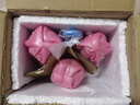 UOSO創(chuàng)意葫蘆瓶玻璃酒瓶茶飲瓶冷萃瓶果酒瓶密封空瓶子可定制瓶身印刷 葫蘆250ml木蓋 曬單實拍圖